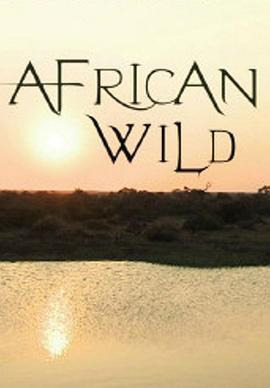 野性大地——非洲