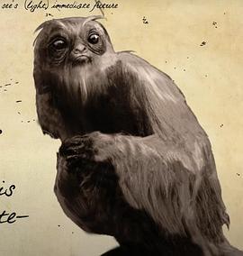 FantasticBeastsandWheretoFindThem:Demiguise