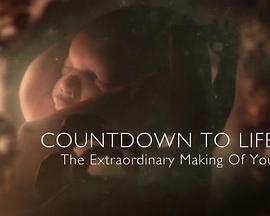 CountdownToLife:TheExtraordinaryMakingOfYou