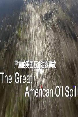 美国石油大泄漏